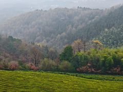-敬亭山风景名胜区