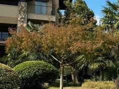 -浙江安吉JW万豪酒店·万豪中餐厅