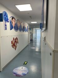 -温州伯思立医院