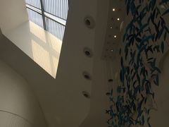 -深圳东部华侨城瀑布酒店