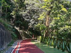 -广州市流溪河国家森林公园
