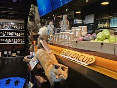 -杂咖zacup(领展中心城店)