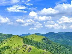 -大姆山草场