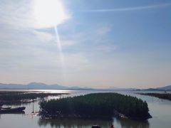 -大亚湾红树林城市湿地公园