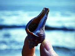 -宁波松兰山滨海旅游度假区