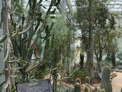 -郑州植物园
