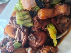 -中原农家乐(中原饭店)