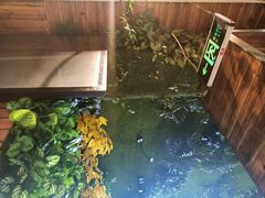 -湘当爱·鲜煮现炒(松岗立业路店)