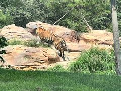 -北京野生动物园