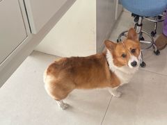 -酷宠动物医院(天通西苑店)