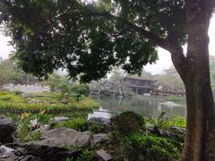 -顺峰山公园