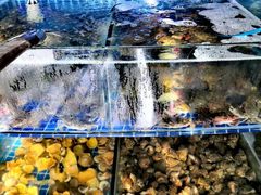 水产区-蟹谢蒸鲜自助餐厅
