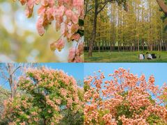 -汇泉广场