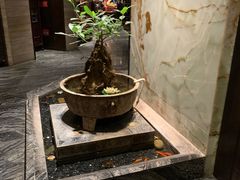 -南堂館川菜文化餐厅(天府店)