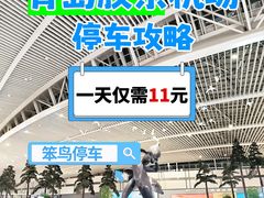 -青岛胶东国际机场