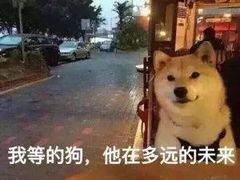 -TOUCH泰奇(金桥长岛路店)