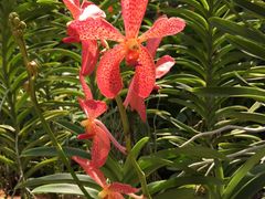 -新加坡海鲜共和(名胜世界圣淘沙海滨坊)