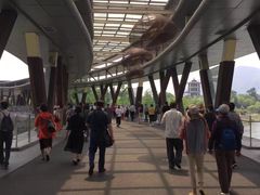 -藏龙百瀑风景区