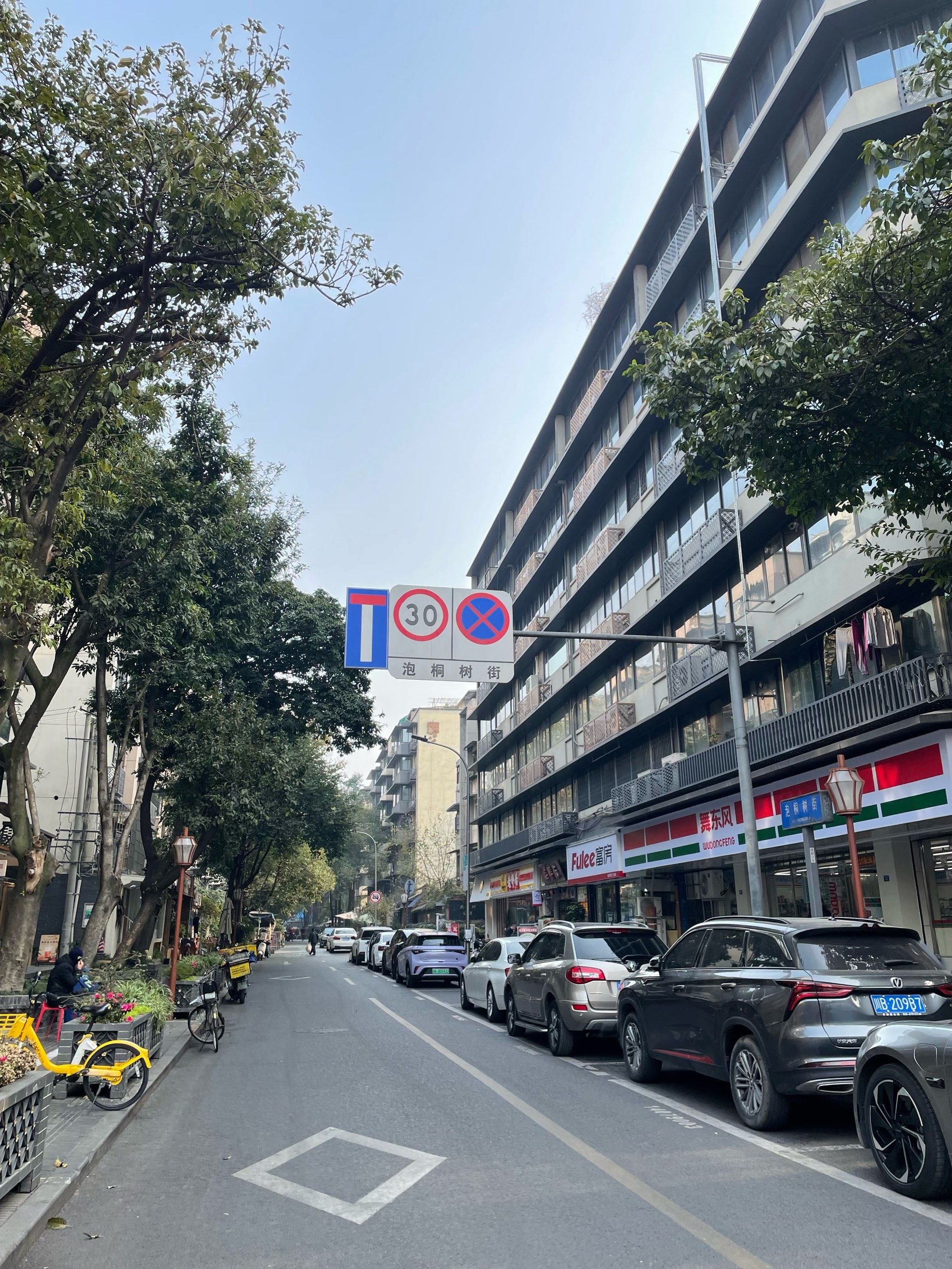 成都小街小巷|泡桐树街