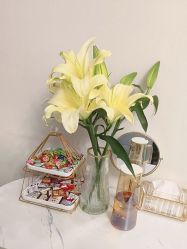 -禾壹净·素颜美问题肌肤修护中心