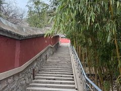 -潭柘寺景区