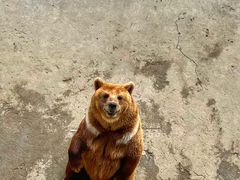 -哈尔滨北方森林动物园