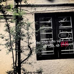 -奥丽维娅美容养生会所