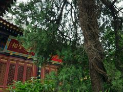 -兴教寺