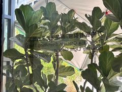 -隹木咖啡馆(宝龙广场店)