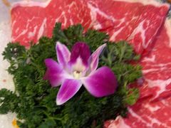 澳洲M9雪花和牛-故里和山·成都火锅(欢乐港湾店)