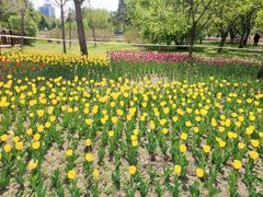 -长春公园(普阳街道)