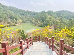 -广州白江湖森林公园