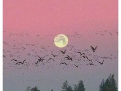 -戴记龙虾(天泽街店)