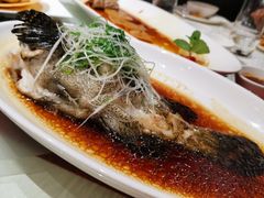 清蒸石斑鱼-春满园·早茶·粤菜·宴会(前海店)