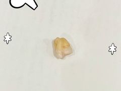 -牙博士口腔品牌连锁(杨浦店)