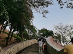 -福神岗公园