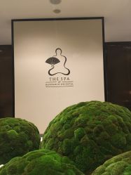 -广州文华东方酒店·水疗中心