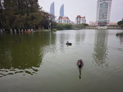 -厦门大学(思明校区)