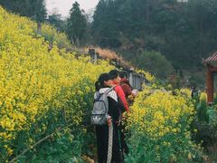 -新安江山水画廊风景区