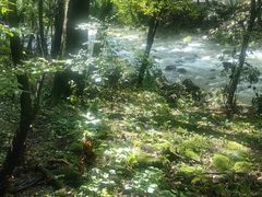 -关门山森林公园