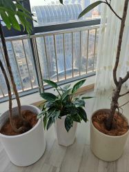 -HEYAN荷妍专业脱毛连锁机构