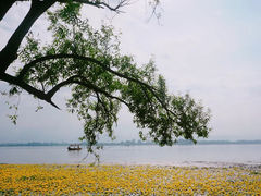 -西昌邛海湿地
