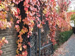 -天津五大道文化旅游区