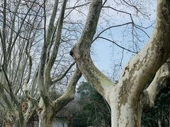 -杭州黄龙洞