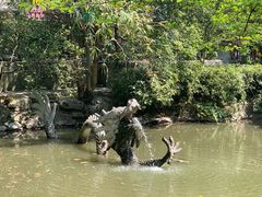 -汇龙潭