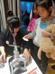 -小鸡哆哆故事屋·儿童乐园(嘉里城店)