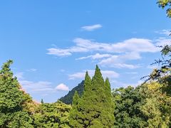 -花溪公园