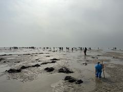 -北海金海湾红树林生态旅游区