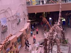 -陕西自然博物馆