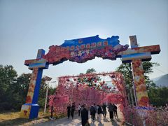 -北京凤凰岭
